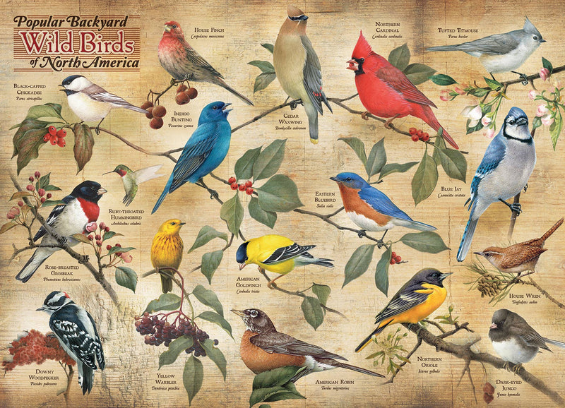 Load image into Gallery viewer, Popular Backyard Wild Birds of North America 1000pc puzzle
