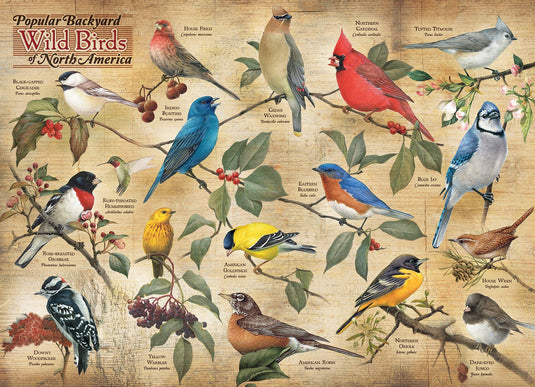 Popular Backyard Wild Birds of North America 1000pc puzzle