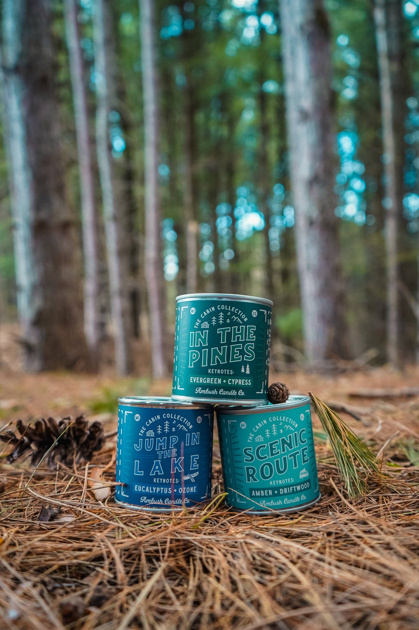 In The Pines | Evergreen + Cypress 8oz Soy Candle