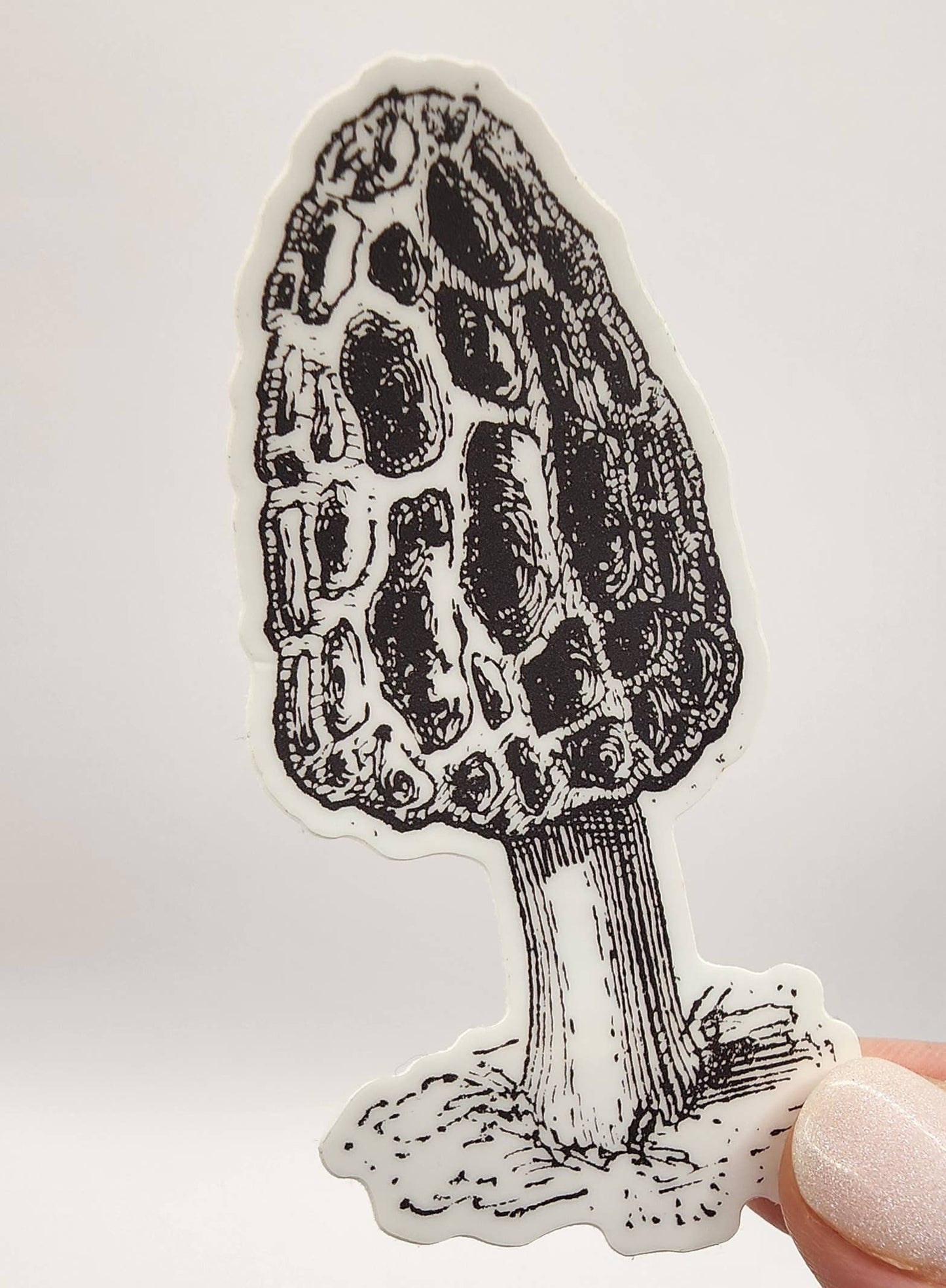 Morel Mushroom Vinyl Sticker