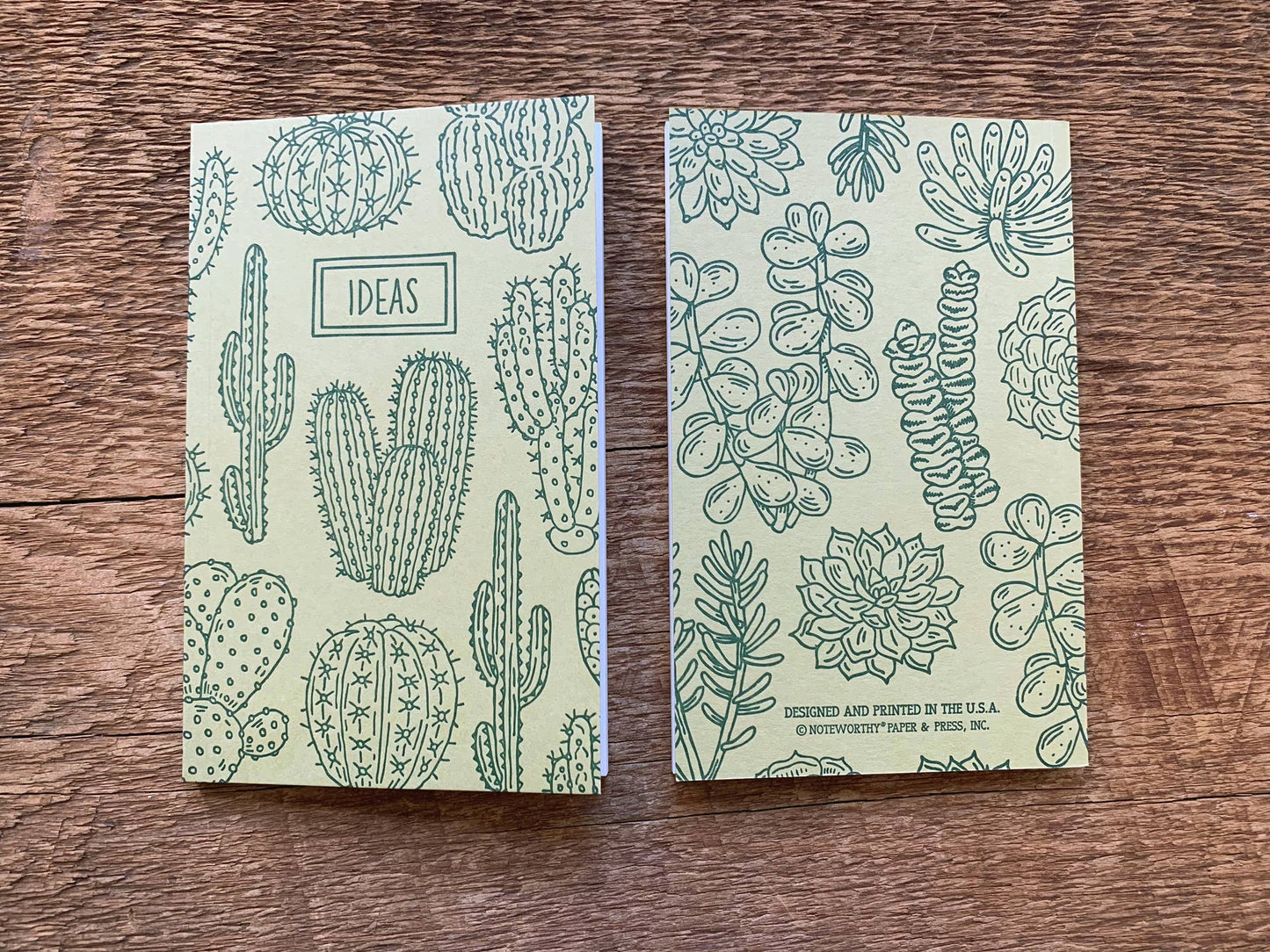 Cacti & Succulents Pocket Notebook, Set of 2