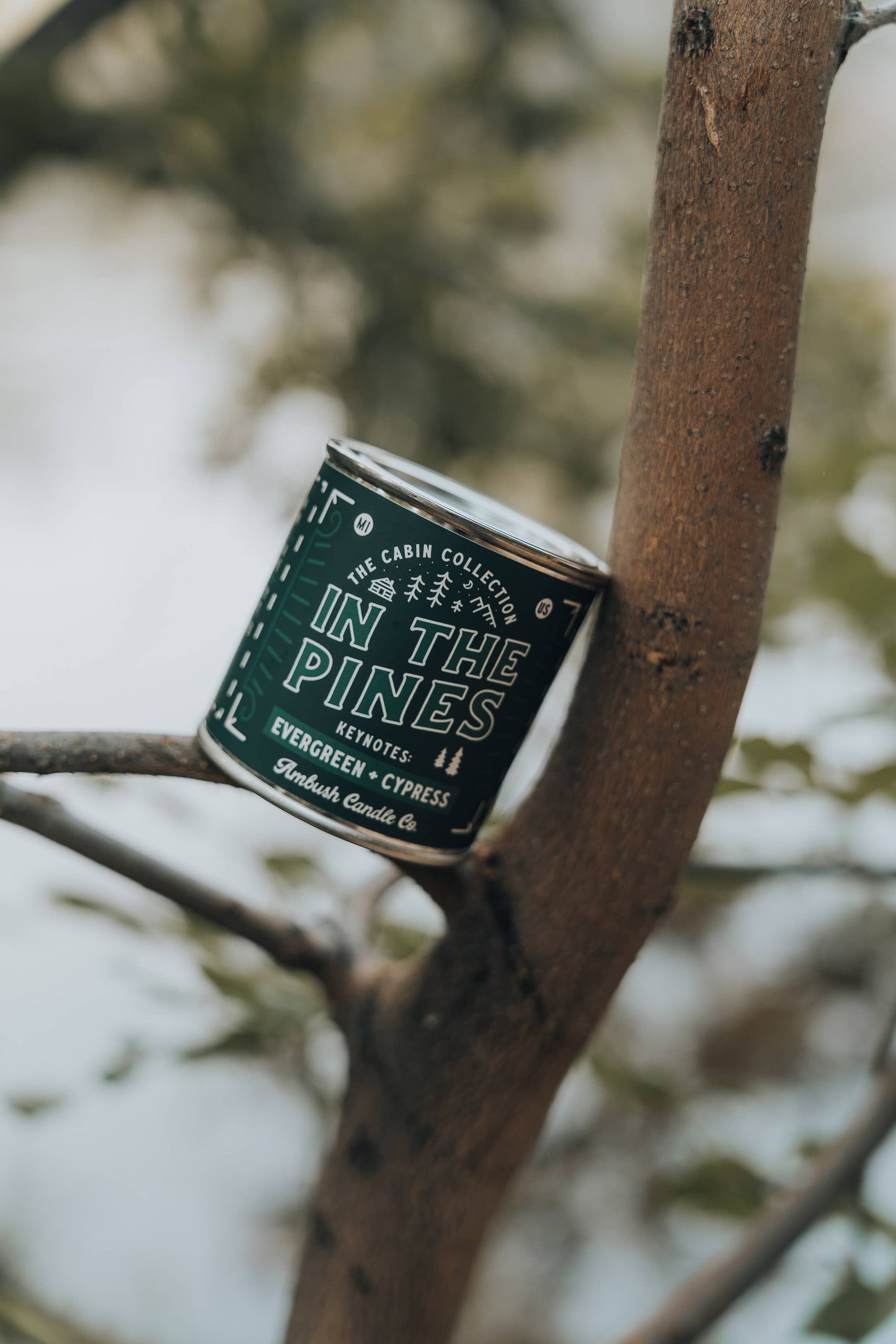 In The Pines | Evergreen + Cypress 8oz Soy Candle